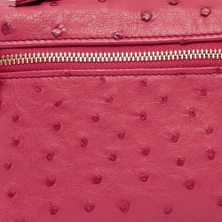 Pre Owned Loro Piana Dark Pink Ostrich L19 Pouch