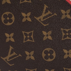 Louis Vuitton Monogram Canvas Neverfull Pochette NM Clutch