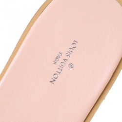 مملوكة مسبقًا حذاء سلايدز فلات لوي فيتون لوك إيت كانفاس آزور دامييه مقاس 39