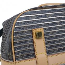 Pre Owned حقيبة يد لوي فيتون إيدن نيو معدنية مخططة