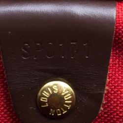 Pre Owned حقيبة لوي فيتون سبيدي 30 كانفاس دامييه أيبين 