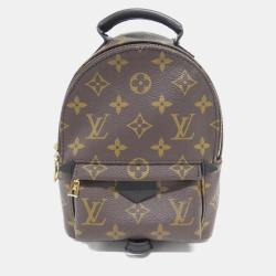 Louis Vuitton Monogram Palm Springs Backpack Mini