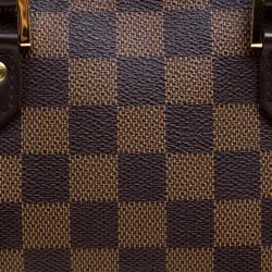 Pre Owned حقيبة لوي فيتون ميني ريبيرا كانفاس دامييه أيبين