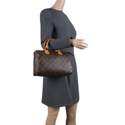 Pre Owned حقيبة لوي فيتون سبيدي كانفاس مونوغرامي 25