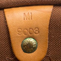 Pre Owned حقيبة لوي فيتون سبيدي كانفاس مونوغرامي 25