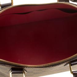 مملوكة مسبقًا حقيبة لوي فيتون ألما كانفاس دامييه أيبين PM