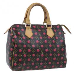 مملوكة مسبقًا حقيبة لوي فيتون سيريزس مونوجرام كنفاس سبيدي 25