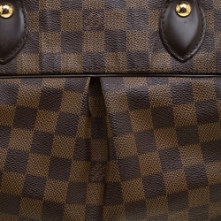Pre Owned حقيبة لو ي فيتون تريفي كانفاس دامييه أيبين PM