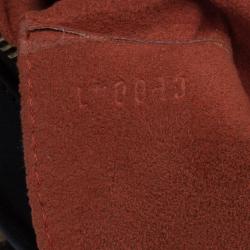 مملوكة مسبقًا حقيبة لوي فيتون داميير إيبين سوفاج تيجر 