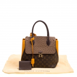 مملوكة مسبقًا حقيبة لوي فيتون ماجستوكس مونوغرامية اكزوتيك متعددة الألوان MM