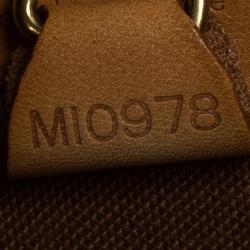 Pre Owned Louis Vuitton Vintage Monogram Canvas Ellipse PM Handbag