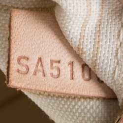 مملوكة مسبقًا حقيبة لوي فيتون نيفرفول كانفاس دامييه أيبين MM