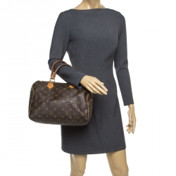 مملوكة مسبقًا حقيبة لوي فيتون سبيدي جلد وكانفاس مونوغرامية 30