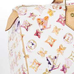 Pre Owned Louis Vuitton Watercolor Speedy 35