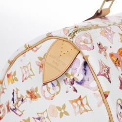Pre Owned Louis Vuitton Watercolor Speedy 35
