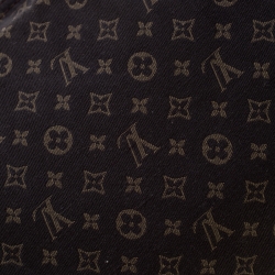 Pre Owned Louis Vuitton Fusain Monogram Canvas Mini Lin Speedy 30 Bag