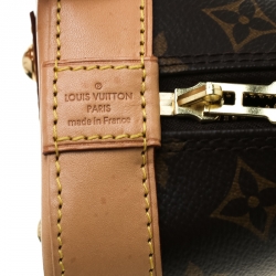 Pre Owned Louis Vuitton Monogram Canvas Alma BB Bag