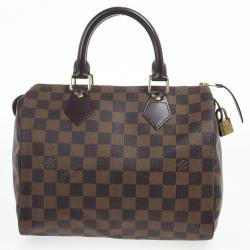 Louis Vuitton Damier Ebene Speedy 25