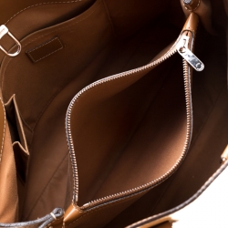 Pre Owned حقيبة لوي فيتون باسي جلد أيبي كانيل بني فاتح GM