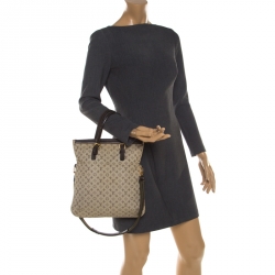 Louis Vuitton Monogram Canvas Mini Lin Francoise Tote Bag