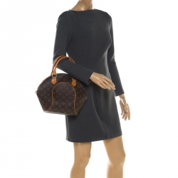 مملوكة مسبقًا Louis Vuitton Monogram Coated Canvas and Leather Ellipse PM Bag