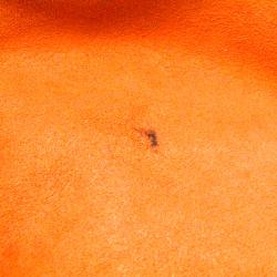 مملوكة مسبقًا حقيبة لوي فيتون بريرا كانفاس دامييه أيبين