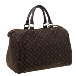 Pre Owned Louis Vuitton Fusain Monogram Canvas Mini Lin Speedy 30 Bag