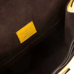 مملوكة مسبقًا حقيبة لوي فيتون كلوني جلد أيبي  BB