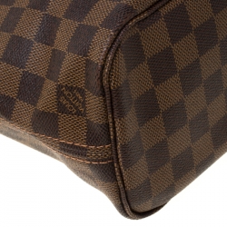 Louis Vuitton Damier Ebene Canvas Neverfull PM Bag
