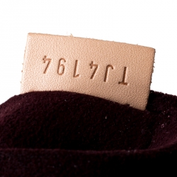 Pre Owned حقيبة لوي فيتون أستيرلا كانفاس مونوغرامي NM