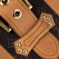 Pre Owned حقيبة لوي فيتون ثيدا كانفاس مونوغرامي GM