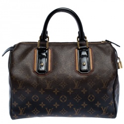 Louis Vuitton Limited edition speedy 30 in 2023  Gray accessories, Louis  vuitton limited edition, Louis vuitton