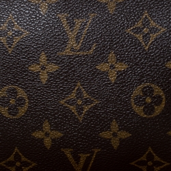 Pre Owned Louis Vuitton Monogram Canvas Pochette Accessories