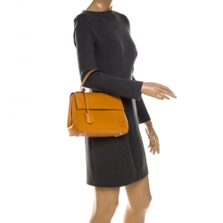 Pre Owned Louis Vuitton Mimosa Epi Leather Cluny BB Bag