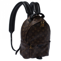 Pre Owned Louis Vuitton Monogram Canvas Palm Springs PM Backpack