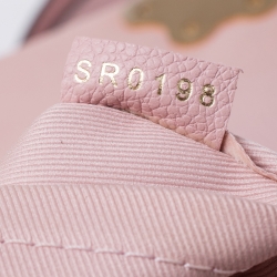 Pre Owned Louis Vuitton Pink Damier Ebene Canvas and Leather Clapton Backpack 