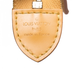 Pre Owned Louis Vuitton Tassil Yellow Epi Leather Sac Triangle Bag