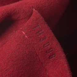 Pre Owned Louis Vuitton Damier Ebene Canvas Trevi PM Bag