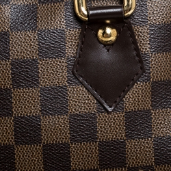 مملوكة مسبقًا حقيبة باولر لوي فيتون دومو دامييه إيبين