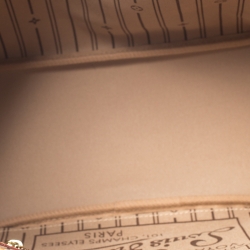 Louis Vuitton Monogram Canvas Neverfull PM Bag