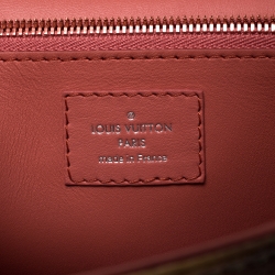 Pre Owned Louis Vuitton Multicolor Da Vinci Masters Collection Chain Bag