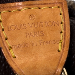 Pre Owned Louis Vuitton Monogram Canvas Panda Pochette Accessoires 