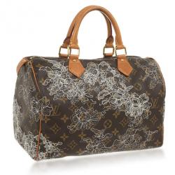 مملوكة مسبقًا Louis Vuitton Dentelle Speedy 30 Bag
