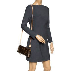 Pre Owned Louis Vuitton Monogram Canvas Eva Pochette Bag