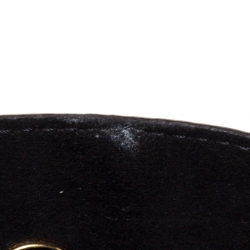 Pre Owned Louis Vuitton Monogram Canvas and Leather NeoNoe Bag