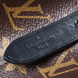 مملوكة مسبقًا حقيبة لوي فيتون نيونيو جلد وكانفاس متعددة الألوان