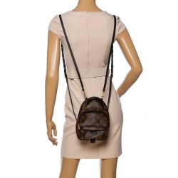 Pre Owned Louis Vuitton Monogram Canvas Mini Palm Springs Backpack