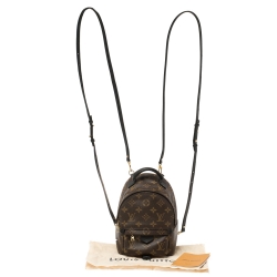 Pre Owned Louis Vuitton Monogram Canvas Mini Palm Springs Backpack