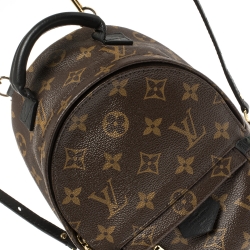 Pre Owned Louis Vuitton Monogram Canvas Mini Palm Springs Backpack