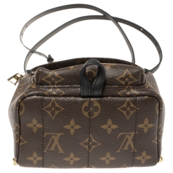 Pre Owned Louis Vuitton Monogram Canvas Mini Palm Springs Backpack